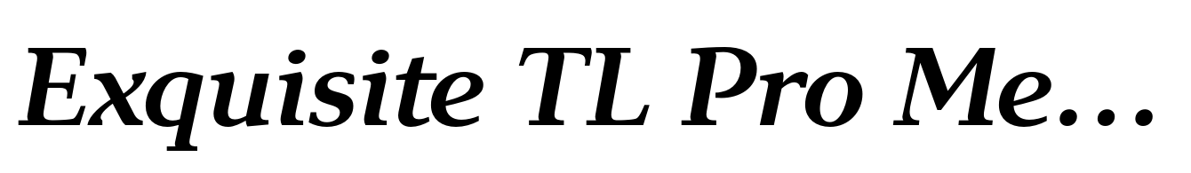 Exquisite TL Pro Medium Italic
